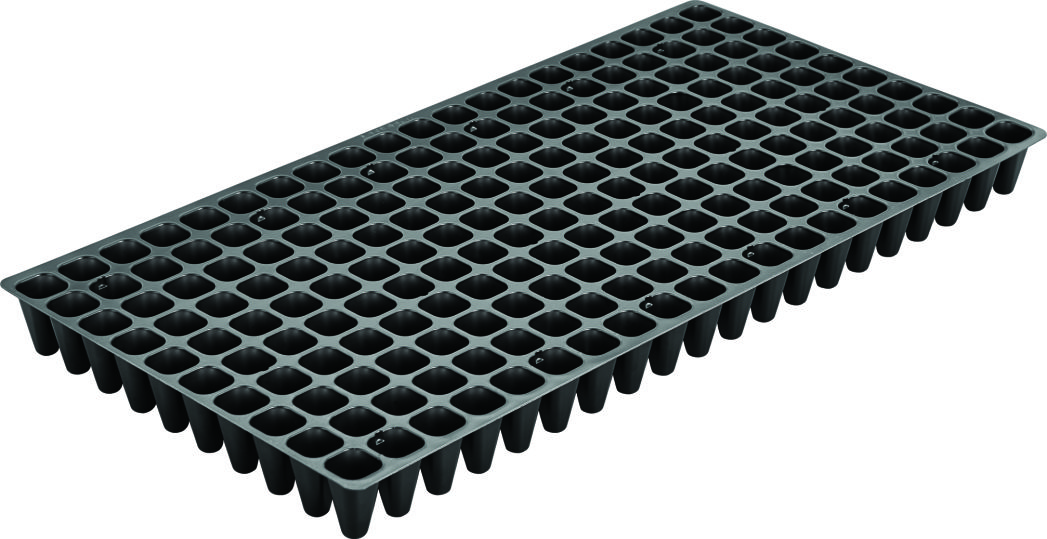 200 Cells polystyrene seedling tray